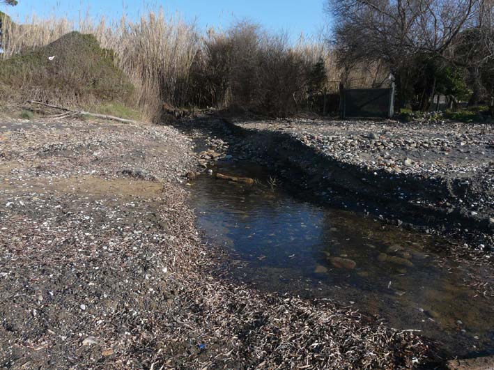 I fossi e lo stagno di Baratti (Piombino - LI)